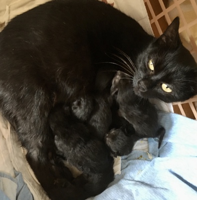 Aktualita - obrázek