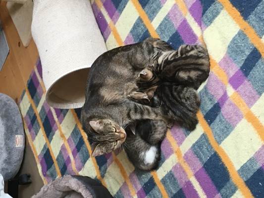 Aktualita - obrázek